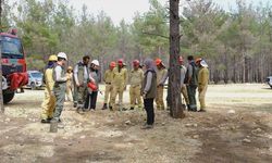 Mersin'de yaz sezonu öncesi orman yangını tatbikatı yapıldı