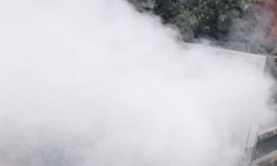 Mikser Sürücüsü Facianın Önünde