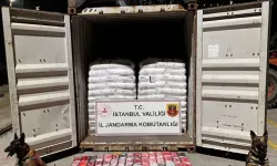 MİT, Jandarma ve Sahil Güvenlik’ten Ortak Operasyon