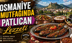 Osmaniye Mutfağında Patlıcan Lezzeti