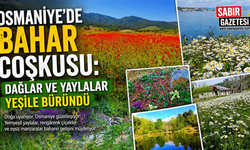 Osmaniye’de Bahar Coşkusu Dağlar ve Yaylalar Yeşile Büründü