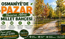 Osmaniye’de Hafta sonu  Huzur Arayanların Yeni Noktası