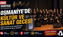 Osmaniye’de Kültür ve Sanat Gecesi