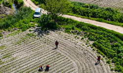 Osmaniye’de Su Basan Tarım Arazileri İncelendi