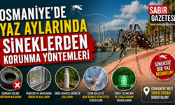 Osmaniye’de Yaz Aylarında Sineklerden  Korunma Yöntemleri