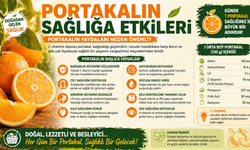 Portakalın Faydaları Neden Önemli?