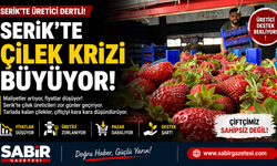 Çilekte Fiyat Farkı Tepkisi Serik’te Çilek Krizi Büyüyor