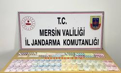 Silifke ilçesinde kumar oynayan 20 kişiye 243 bin 684 lira ceza kesildi