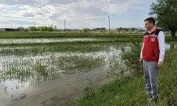 Osmaniye Yağış Zararı Yerinde İncelendi