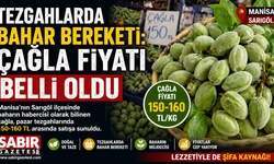 Tezgahlarda Bahar Bereketi: Çağla Fiyatı Belli Oldu