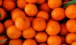 Türkiye yılın ilk çeyreğinde en fazla mandalinayı Irak'a, limonu Rusya'ya sattı