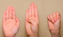 Bu Evrensel İşareti  Bilmek Hayat Kurtarıyor!