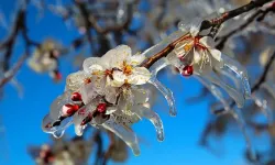 Meteoroloji 7 Nisan İçin Alarm Verdi