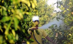 Osmaniye’de Tarımda Yeni Uygulama: