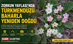 Zorkun Yaylası’nda Türkmendüzü Baharla Yeniden Doğdu