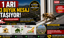 1 Arı 3 Büyük Mesaj Taşıyor! Osmaniyeliler Şaşkın