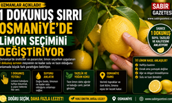 1 Dokunuş Sırrı Osmaniye’de Limon Seçimini Değiştiriyor