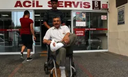 İstanbul’da Acemi Kasap Alarmı 767 kişi hastanelere başvurdu