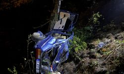 Adana'da ağaca çarpan otomobildeki 3 kişi yaralandı