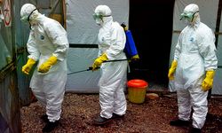 Yeni Ebola Varyantı Endişe Yarattı