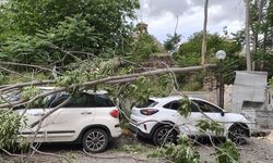 Efeler’de Şiddetli Rüzgar Hasara Yol Açtı