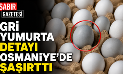 Gri Yumurta Detayı Osmaniye’de Şaşırttı