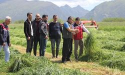 Düziçi'nde Ryegrass otu hasadında teknik inceleme yapıldı