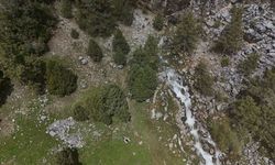 Isparta'da bahar yağmurları doğada dikkat çekici şekiller oluşturdu
