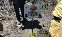 Karacaoğlan’a Yeşil Vefa Kaymakam Yurdagül Fidan Dikti