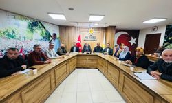 AK Parti Osmaniye Teşkilatı Toplandı