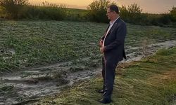 Osmaniye’de Dolu ve Fırtına Çiftçiyi Vurdu: “Mahsul Kalmadı” Çağrısı