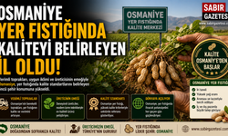 Osmaniye Yer Fıstığında Kaliteyi Belirleyen İl Oldu