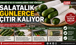 Osmaniye’de Ev Hanımlarının Yeni Yöntemi!