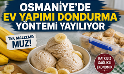 Osmaniye’de Ev Yapımı Dondurma Yöntemi Yayılıyor