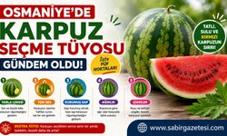 Osmaniye’de Karpuz Seçme Tüyosu Gündem Oldu