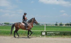 Osmaniye'de '15. Geleneksel Rahvan At Yarışları' düzenlendi