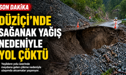Düziçi'nde Sağanak Yağış Hayatı Olumsuz Etkiledi