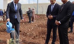 Adana'da hükümlüler 5 bin zeytin fidanını toprakla buluşturdu