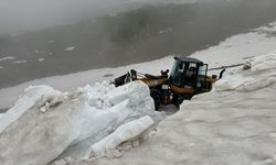 Artvin'de yayla yollarında karla mücadele sürüyor