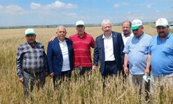 Başkan Sezgin’den Buğday Fiyatı Çağrısı