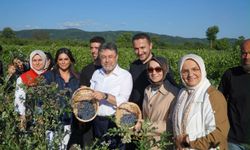 Düzce’de üretim ziyareti Yaban mersini hasadı yapıldı