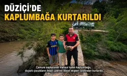 Düziçi’nde Kaplumbağa Kurtarıldı