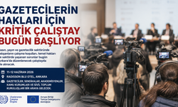 Gazetecilerin Hakları İçin Kritik Çalıştay Bugün Başlıyor