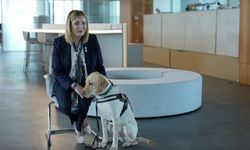 Görme engelliler, rehber köpekleriyle her yere sorunsuz erişebilmek istiyor