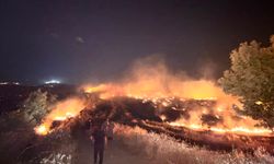 Hatay'da anızda çıkıp zeytin bahçelerine sıçrayan yangın kontrol altına alındı