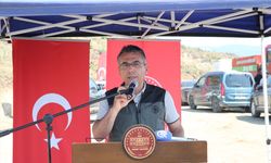 Hatay'da orman yangınında zarar gören alana 1000 fidan dikildi