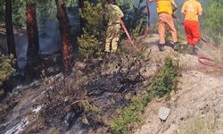 Hatay'da ormanlık alanda çıkan yangın söndürüldü