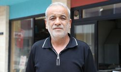 Hatay'da sahipsiz köpeklerin kediye saldırdığı anlar güvenlik kamerasında