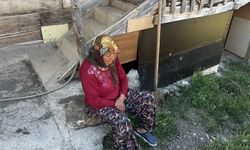 Isparta'da kurtların saldırısı sonucu 7 keçi telef oldu