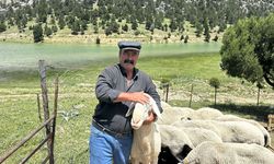 Isparta'da Yörüklerin yayla göçü başladı